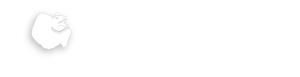 2021_Lizards-Logo_Reverse